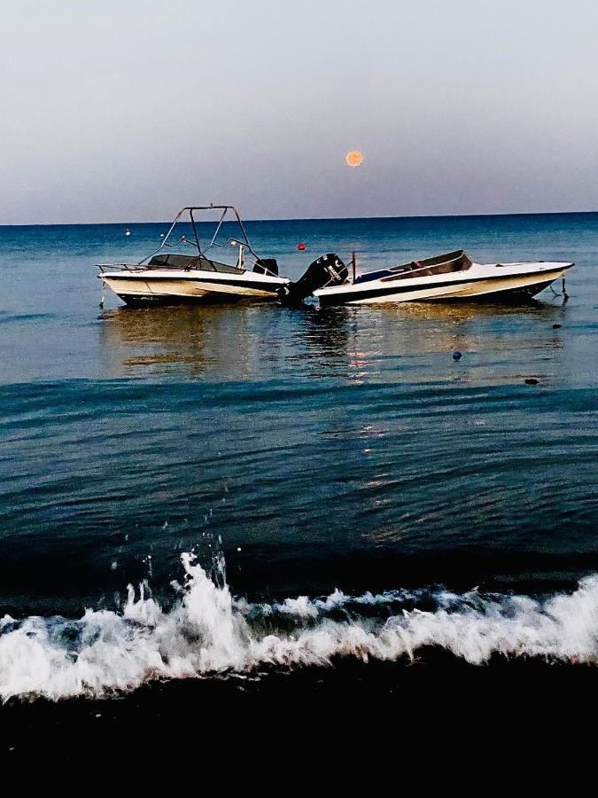 Bali 101 Larnaka